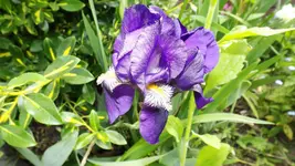 DSCF1803.webp