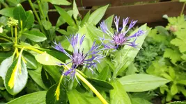 DSCF1804.webp
