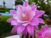 DSCF9272.webp