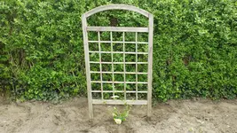 DSCF1763.webp