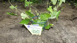 DSCF1764.webp
