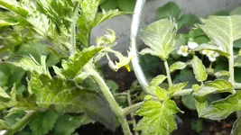 DSCF1843.webp