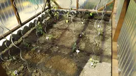 DSCF1844.webp