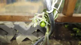 DSCF1845.webp