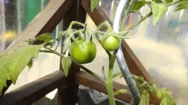 DSCF1846.webp