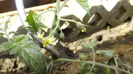 DSCF1847.webp