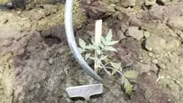 DSCF1848.webp