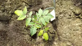 DSCF1849.webp