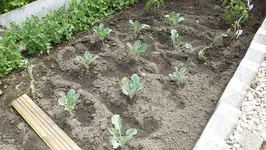DSCF1839.webp