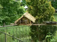 P1550374_b.webp
