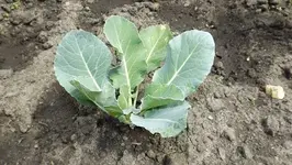 DSCF1840.webp