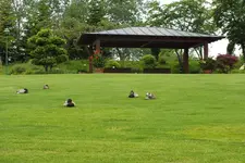 DSCF0988.webp