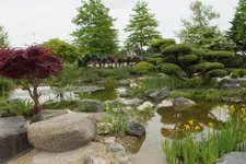 DSCF0992.webp