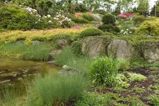 DSCF0993.webp