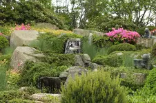 DSCF0999.webp