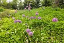 DSCF1009.webp