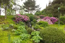 DSCF1010.webp
