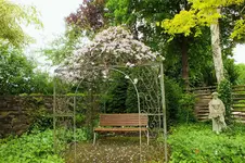 DSCF1018 (2).webp