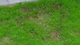 20150523_074321.webp