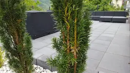 20150523_090454 (1).webp