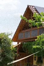 Einzug Bienenschwarm (1) (Kopie).webp