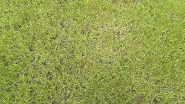 01.webp