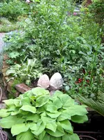 IMG_4613.webp
