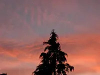 DSCN5139.webp