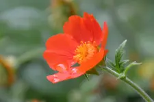DSC_2859.webp