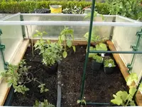 2015-05-23 Luffabogen HB1 mit Luffa und Gurke.webp