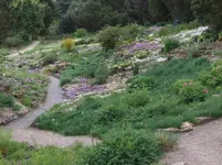 DSCF3831.webp