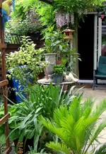 IMG_4562.webp
