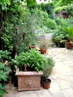 IMG_4568-001.webp