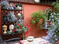 IMG_1446-001.webp