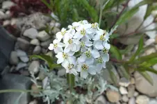 DSCF1066.webp