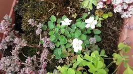 20150524_104734.webp