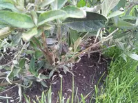 20150524_132256.webp