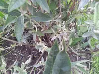 20150524_132240.webp