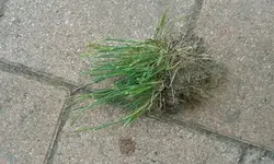 20150524_115804.webp