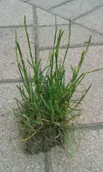 20150524_115823.webp