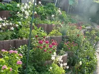 k-P1090275.webp