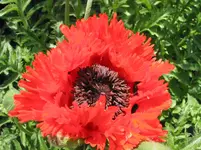 020.webp