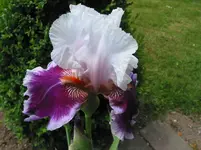 021.webp