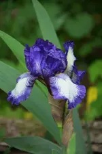 DSC_4508.webp