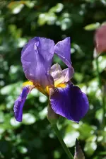 DSC_4519.webp