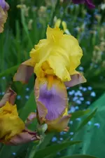 DSC_4521.webp