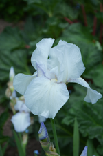 DSC_4522.webp