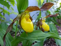 DSCF9588.webp