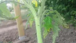 20150524_120758.webp