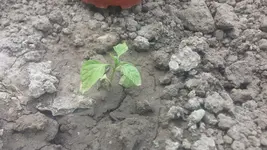20150524_120707.webp